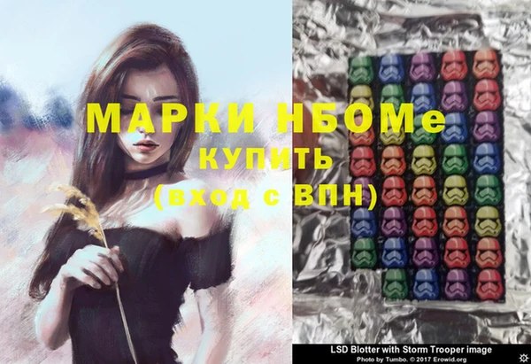 индика Алзамай