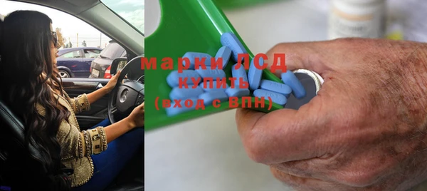 индика Алзамай