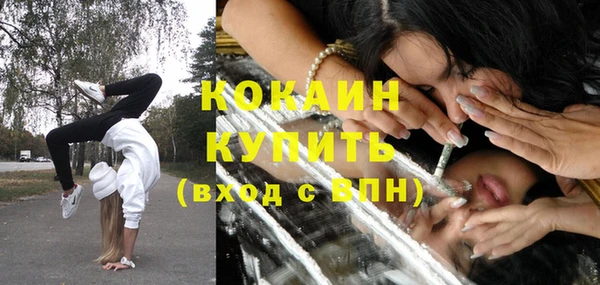 индика Алзамай