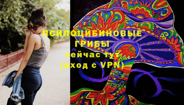 индика Алексеевка