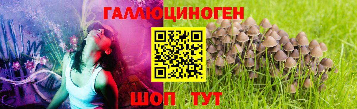 Галлюциногенные грибы GOLDEN TEACHER  продажа наркотиков  Полысаево  Вход с VPN 
